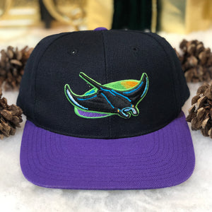 Vintage MLB Tampa Bay Devil Rays American Needle Wool Snapback Hat