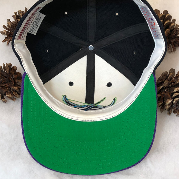 Vintage MLB Tampa Bay Devil Rays American Needle Wool Snapback Hat