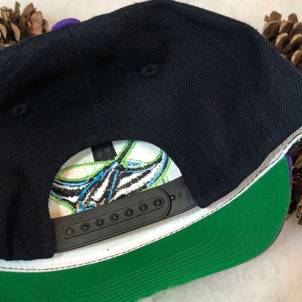 Vintage MLB Tampa Bay Devil Rays American Needle Wool Snapback Hat