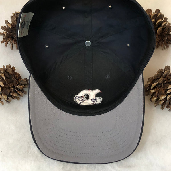 Vintage MiLB Pawtucket Red Sox Twins Enterprise Twill Snapback Hat
