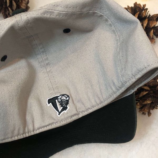 Vintage MiLB Lansing Lugnuts The Franchise Gray Stretch Fit Hat