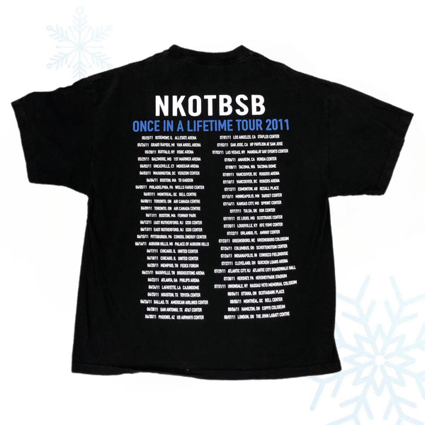 2011 NKOTBSB New Kids On The Block Backstreet Boys Once In A Lifetime Tour T-Shirt (XL)