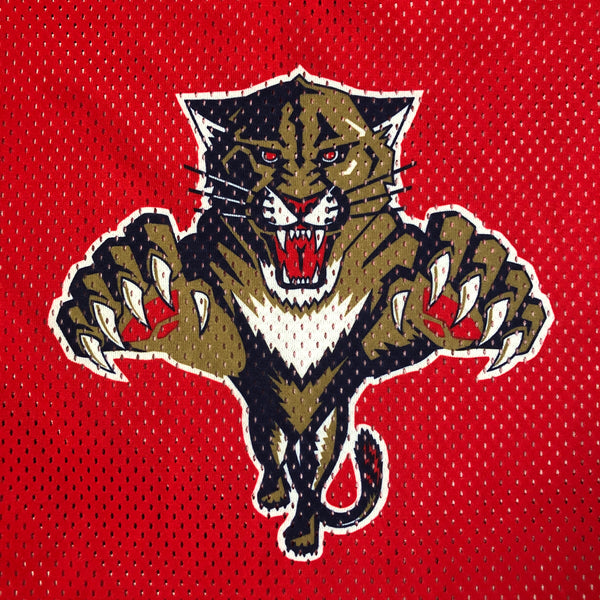Vintage NHL Florida Panthers CCM Mesh Jersey (L)