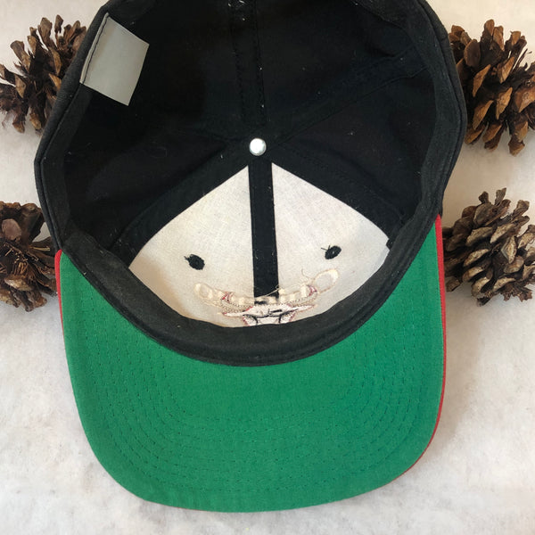 Vintage NBA Chicago Bulls Twins Enterprise Bar Line Twill Snapback Hat
