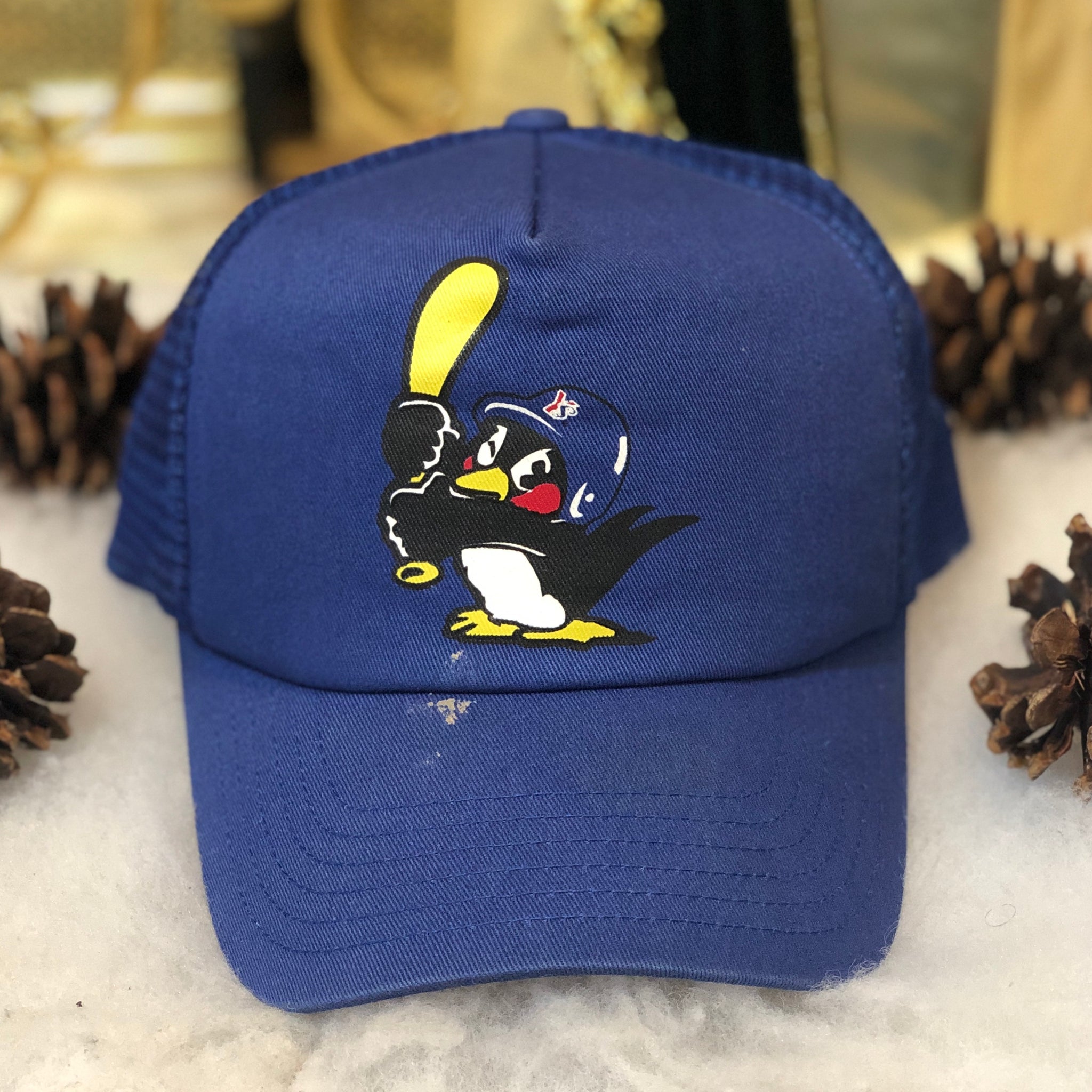 Vintage NCAA Youngstown State Penguins Baseball American Needle Trucker Hat