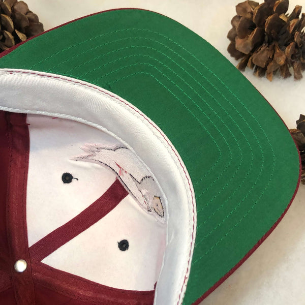 Vintage Deadstock NWOT NFL Phoenix Cardinals Annco Twill Snapback Hat