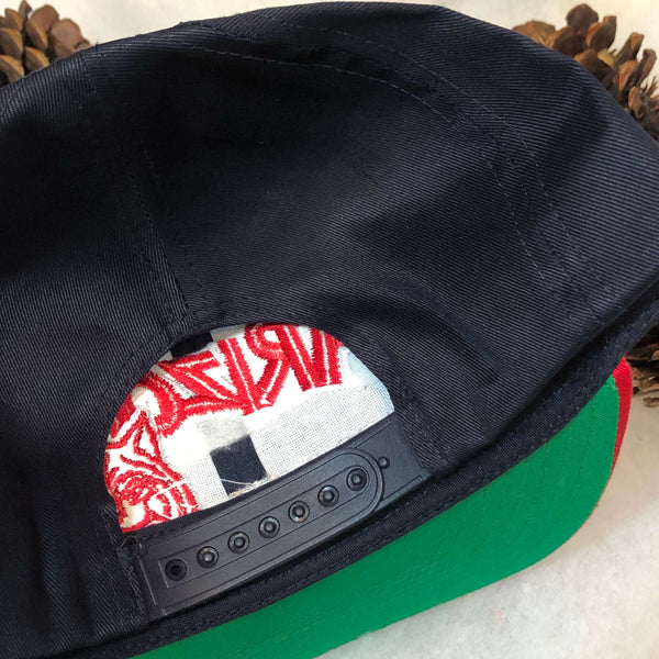 Vintage Deadstock NWOT NCAA Arizona Wildcats Twins Enterprise Twill Snapback Hat