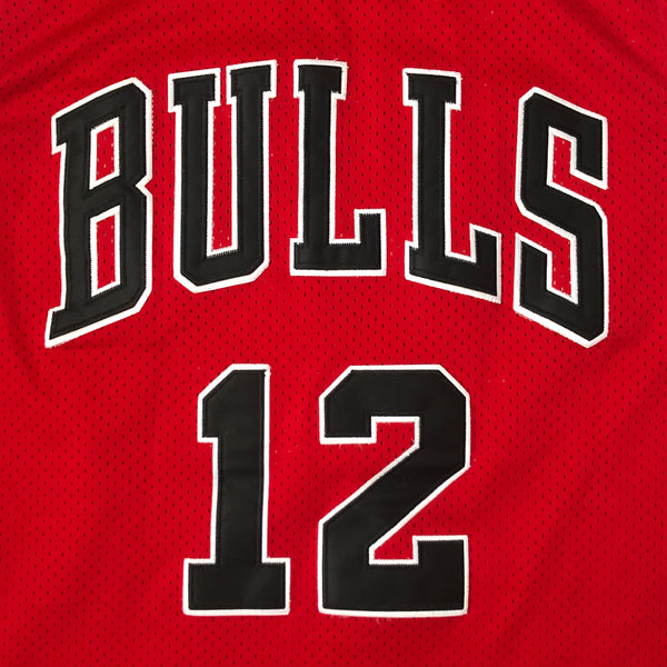 NBA Chicago Bulls Michael Jordan Valentine's Day Bootleg Nike Swingman Style Jersey (XXL)