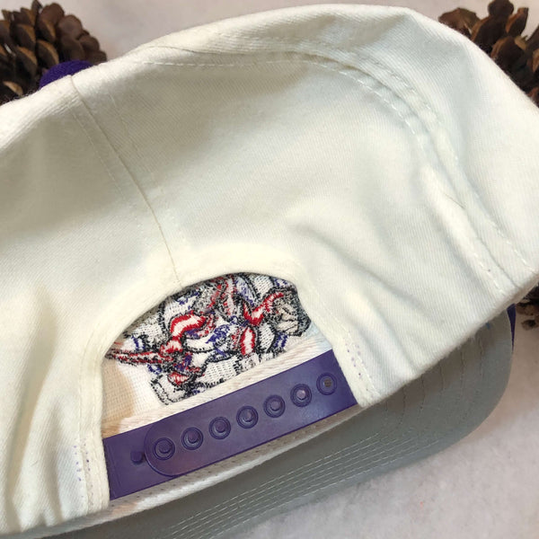 Vintage Deadstock NWOT NBA Toronto Raptors Twins Enterprise Wool Snapback Hat