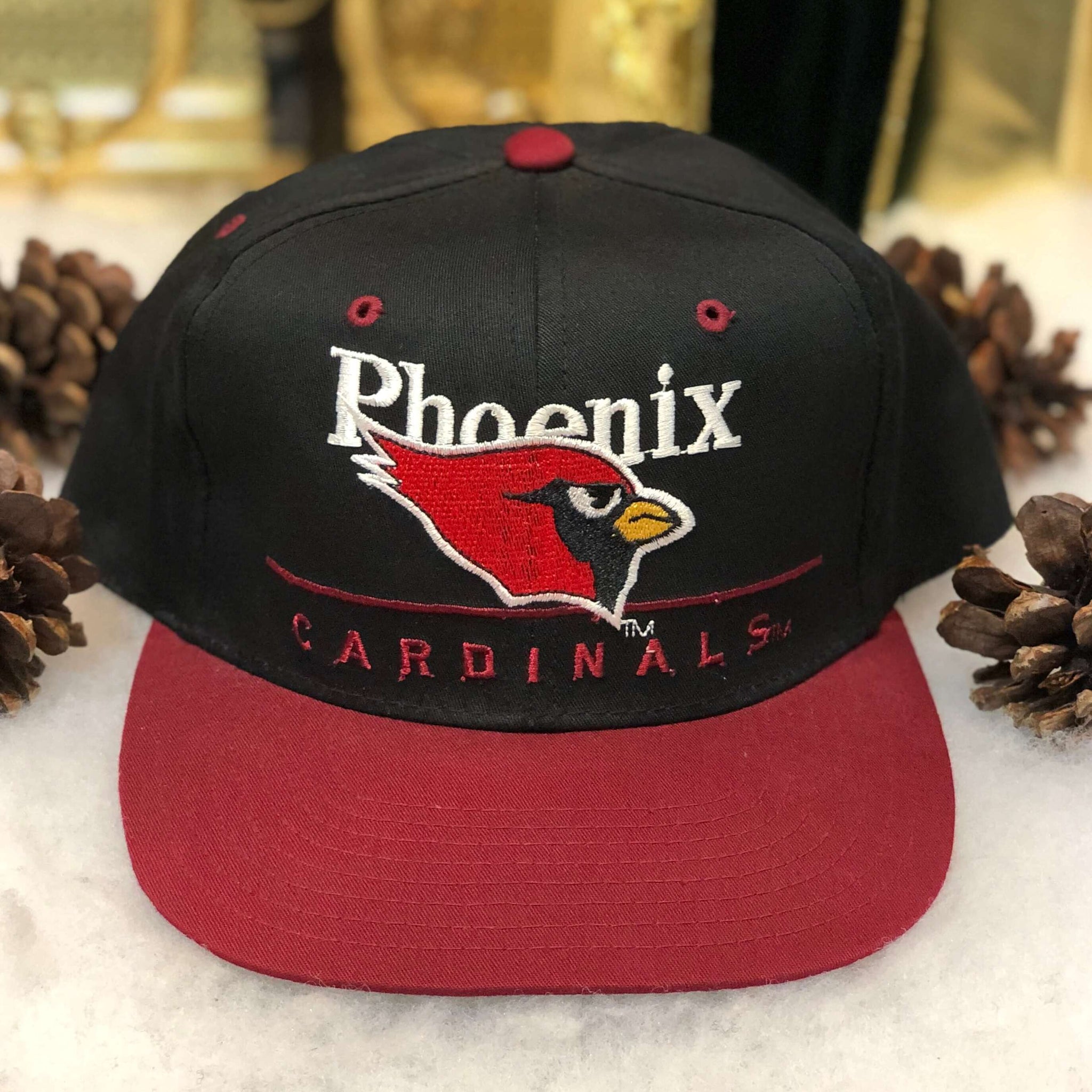 Vintage Deadstock NWOT NFL Phoenix Cardinals Eastport Bar Line Twill Snapback Hat