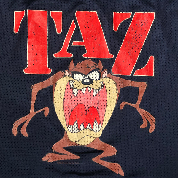 Vintage Taz Looney Tunes Football Practice Jersey (XL)