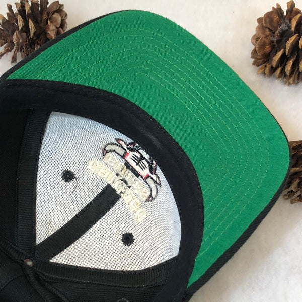 Vintage NBA Chicago Bulls Twins Enterprise Wool Snapback Hat