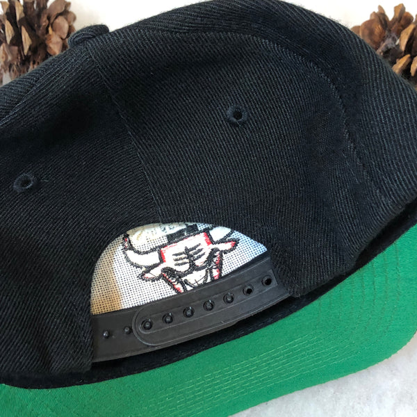 Vintage NBA Chicago Bulls Twins Enterprise Wool Snapback Hat