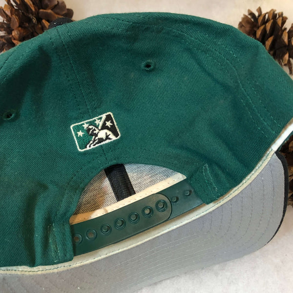 Vintage MiLB Winston-Salem Warthogs New Era Wool Snapback Hat