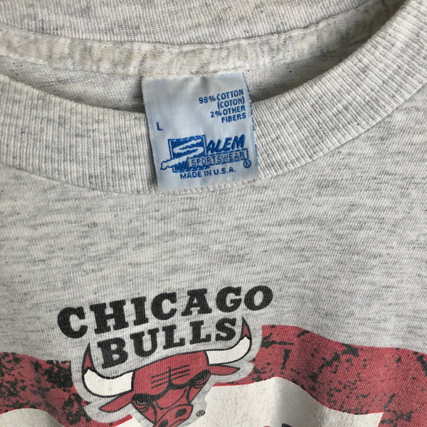 Vintage NBA Stay In School Chicago Bulls Salem Sportswear T-Shirt (L)