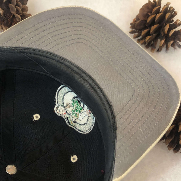 Vintage NBA Boston Celtics Twins Enterprise Wool Snapback Hat