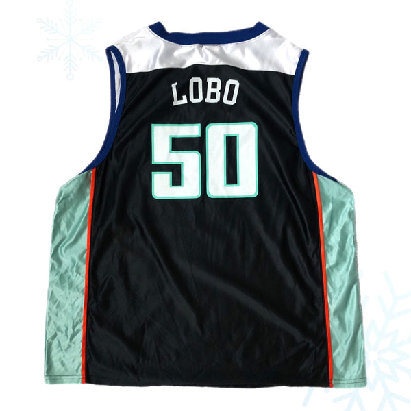 Vintage WNBA New York Liberty Rebecca Lobo Champion Jersey (L)