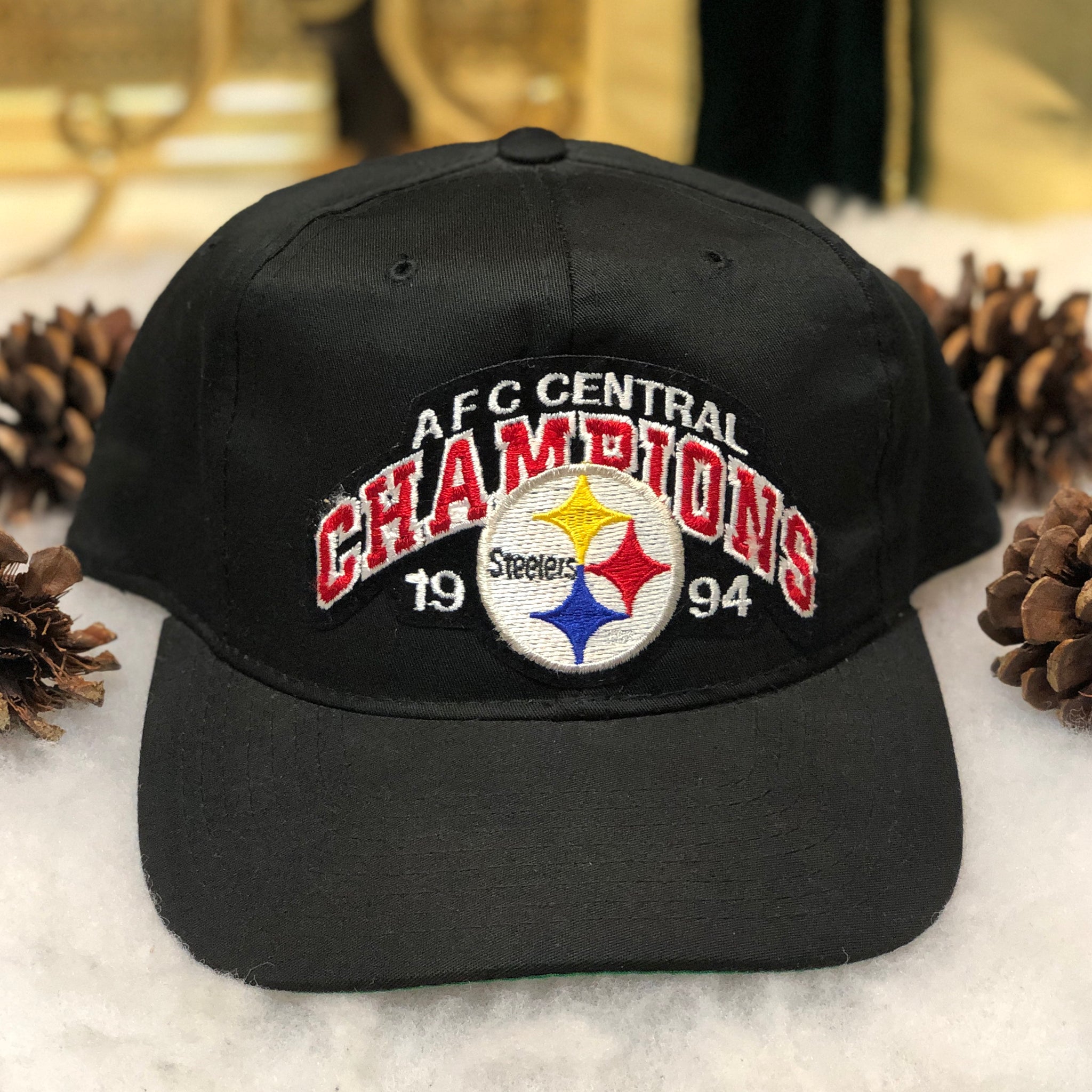 Vintage NFL Pittsburgh Steelers 1994 AFC Central Champions Starter Twill Snapback Hat