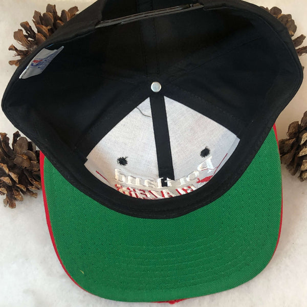 Vintage NBA Portland Trail Blazers Twins Enterprise Bar Line Twill Snapback Hat