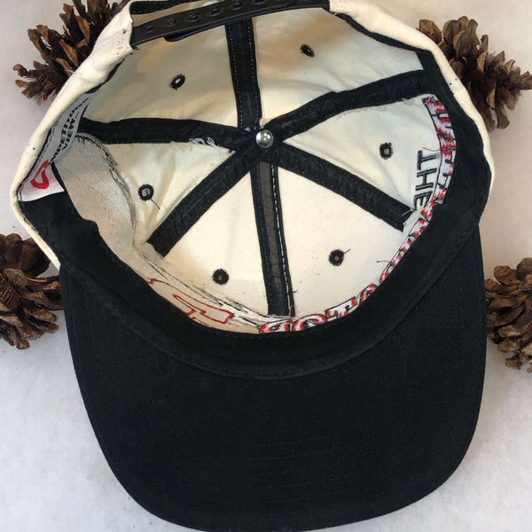 Vintage NASCAR Dale Earnhardt "The Intimidator" Competitors View Snapback Hat
