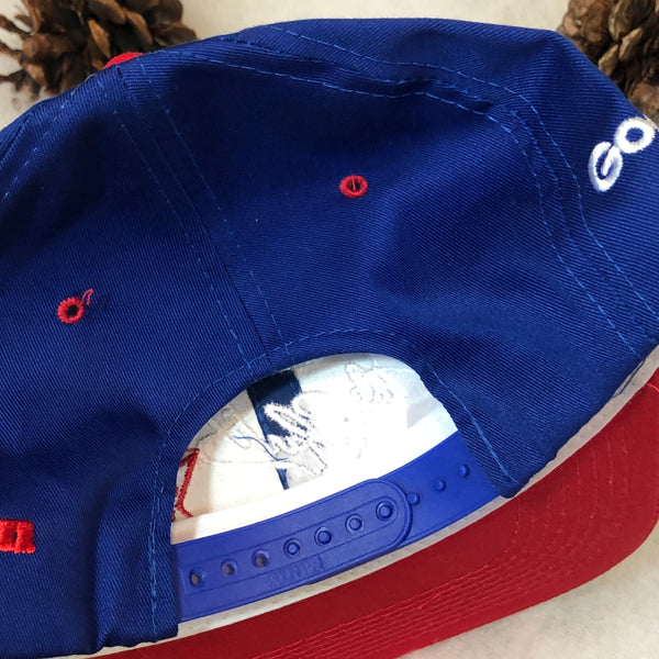 Vintage Deadstock NWOT NASCAR Dale Earnhardt Patriotic Stars Twill Snapback Hat
