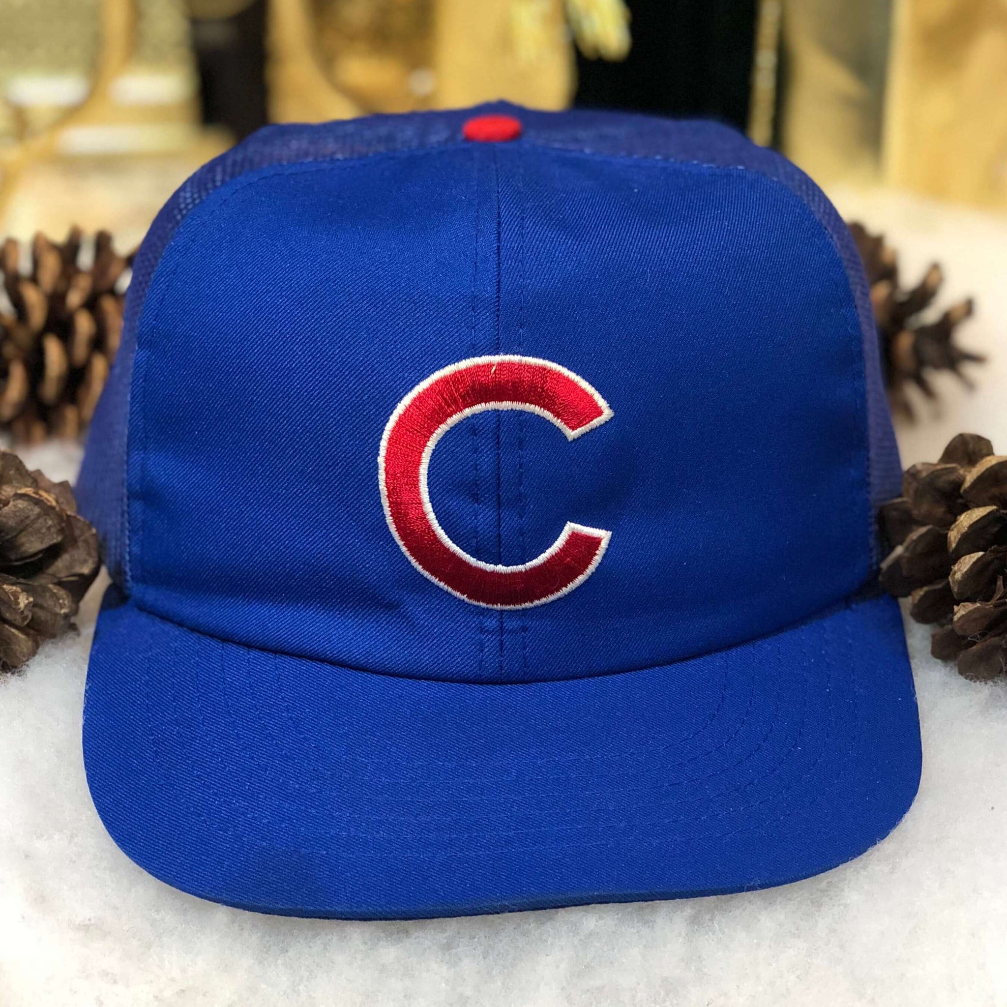 Vintage MLB Chicago Cubs Twins Enterprise Trucker Hat