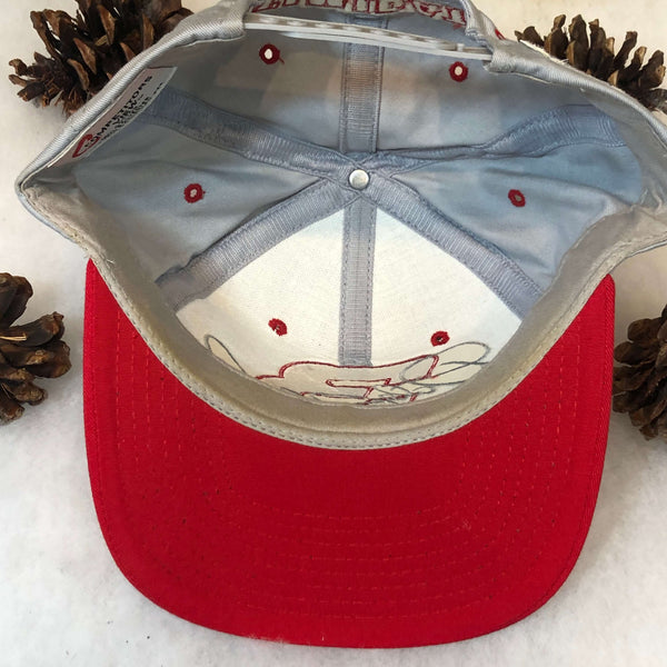 Vintage NASCAR Dale Earnhardt "Intimidator" Competitors View Twill Snapback Hat