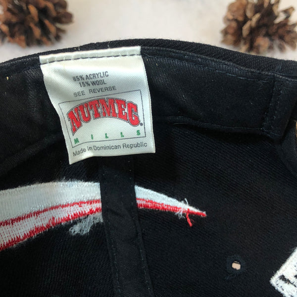 Vintage NASCAR Dale Earnhardt Nutmeg Mills Wool Snapback Hat
