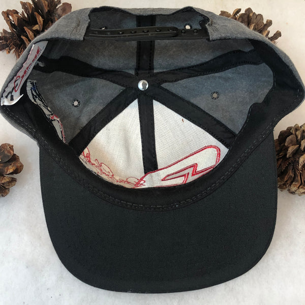 Vintage NASCAR Dale Earnhardt Stock Car Chase Authentics Snapback Hat