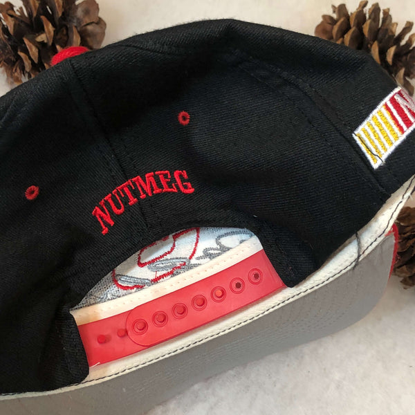Vintage NASCAR Dale Earnhardt Nutmeg Mills Wool Snapback Hat