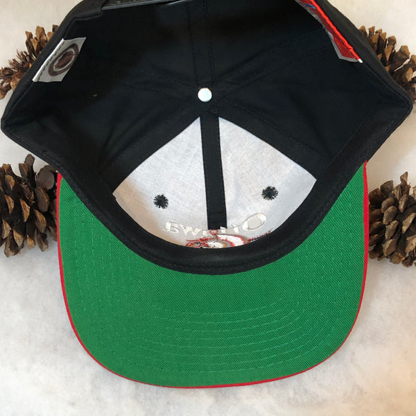 Vintage Deadstock NWOT NHL Ottawa Senators Twins Enterprise Bar Line Twill Snapback Hat