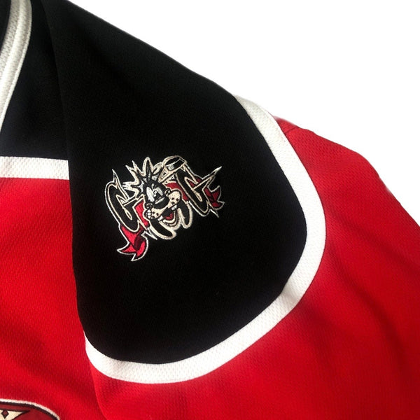 Vintage Goofy Guardians Disney Hockey Jersey (XL)