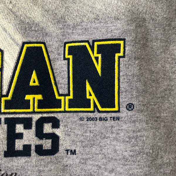 Vintage NCAA Michigan Wolverines 2003 Big Ten Football Champions Crewneck Sweatshirt (XXL)