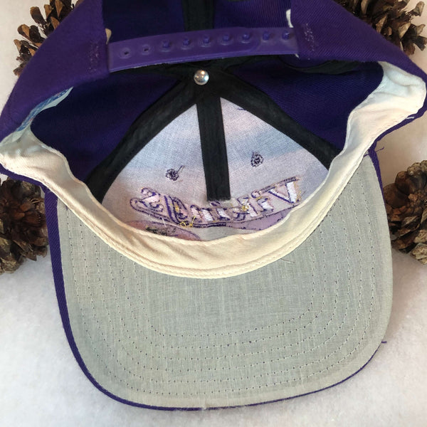 Vintage NFL Minnesota Vikings Twins Enterprise Wool Snapback Hat