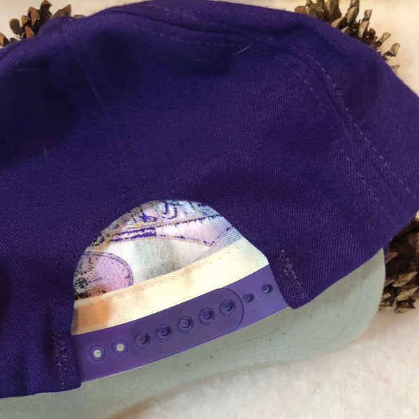Vintage NFL Minnesota Vikings Twins Enterprise Wool Snapback Hat