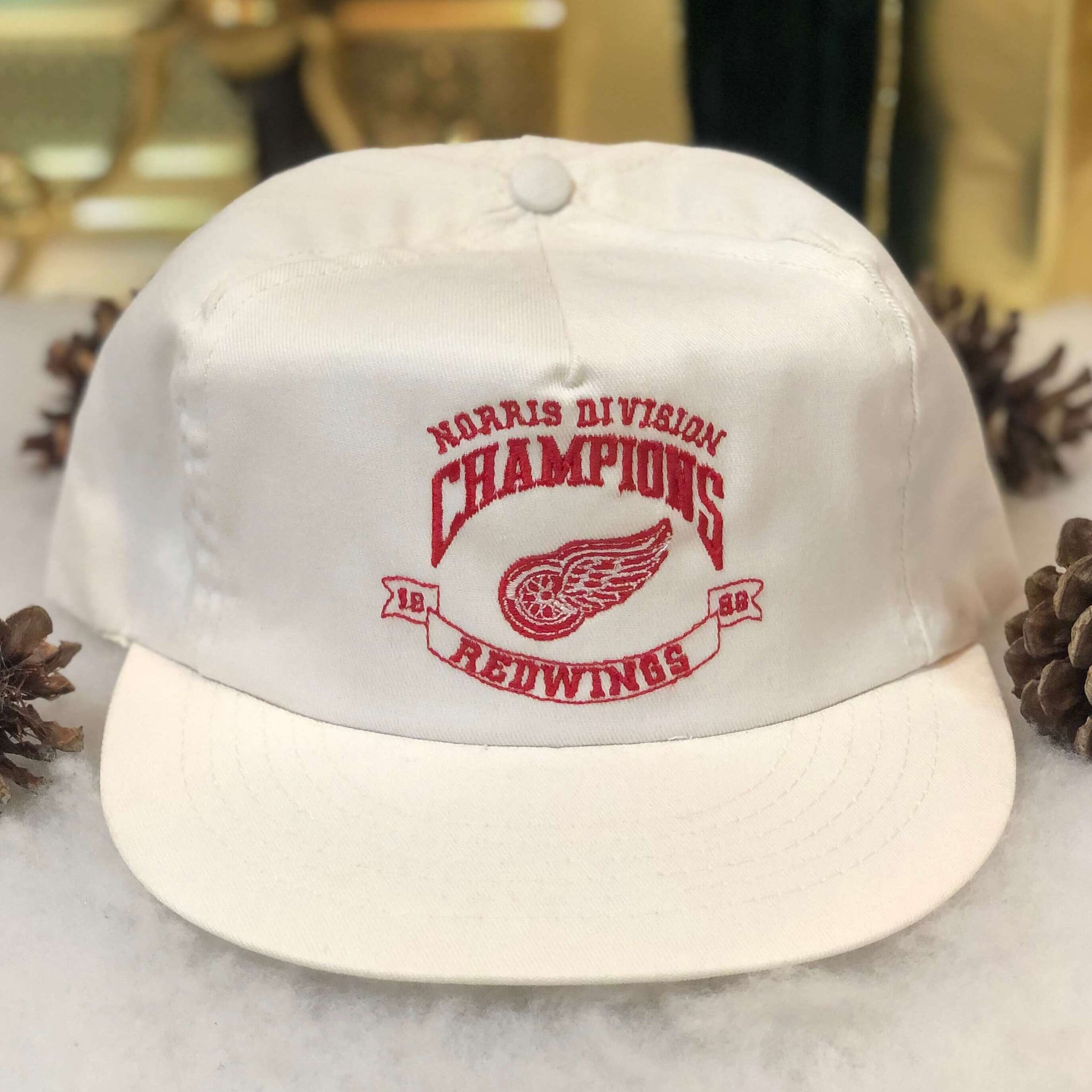 Vintage Deadstock NWOT 1989 NHL Detroit Red Wings Norris Division Champions Annco Twill Snapback Hat