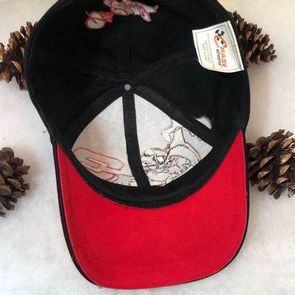 Vintage NASCAR Taz Looney Tunes Dale Earnhardt Snapback Hat