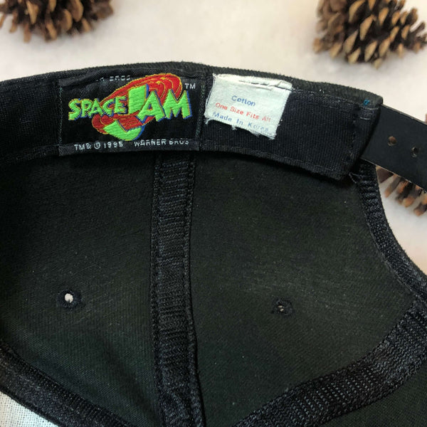 Vintage 1995 Space Jam Warner Bros. Snapback Hat