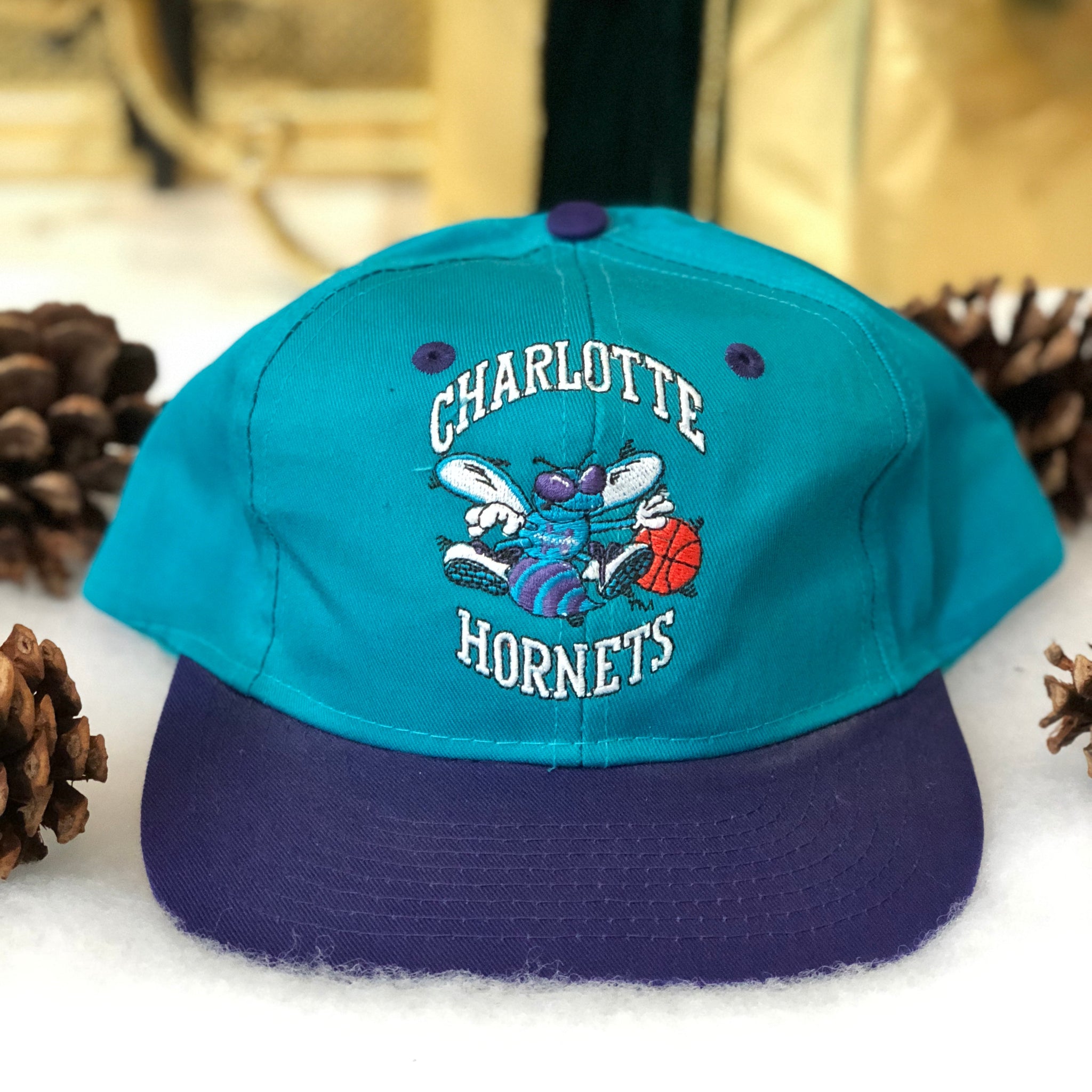 Vintage AJD Sportswear NBA Charlotte Hornets Snapback Hat