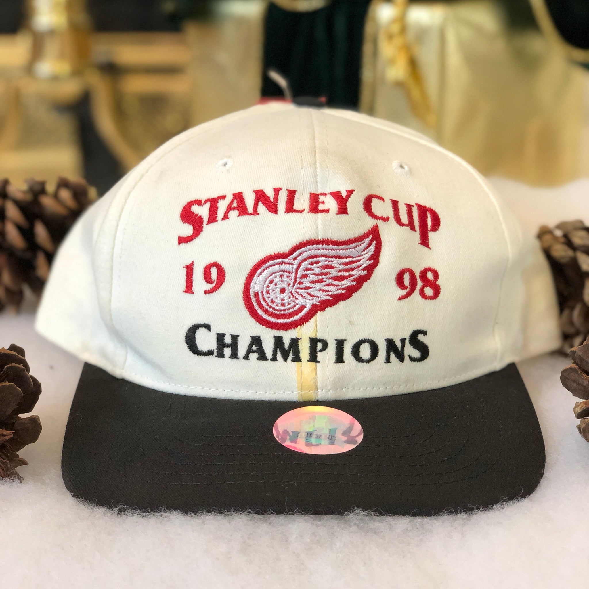 Vintage Deadstock NWT Twins Enterprise 1998 NHL Stanley Cup Champions Detroit Red Wings Snapback Hat