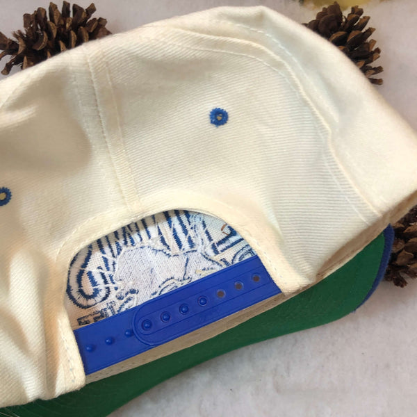 Vintage NFL Detroit Lions Signatures Burst Wool Snapback Hat