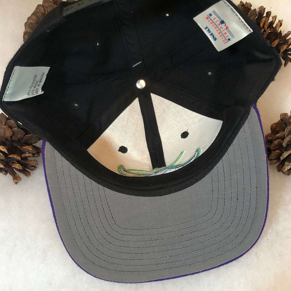 Vintage Deadstock NWT MLB Tampa Bay Devil Rays Twins Enterprise Wool Snapback Hat