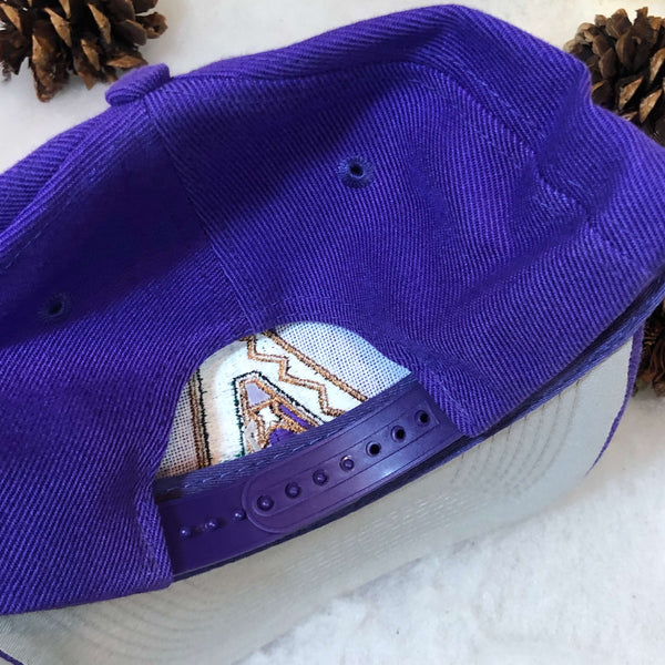 Vintage Deadstock NWT MLB Arizona Diamondbacks Twins Enterprise Wool Snapback Hat