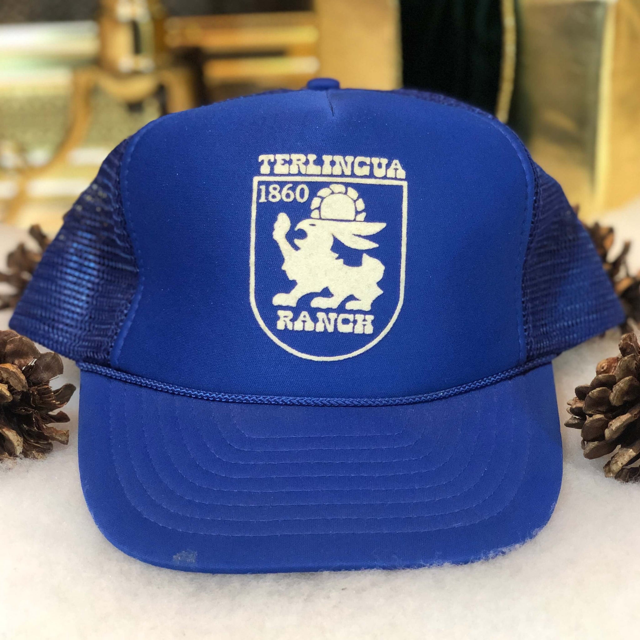 Vintage Terlingua Ranch Texas Trucker Hat