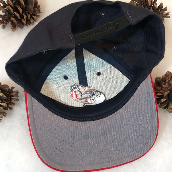 Vintage MiLB Pawtucket Red Sox Twins Enterprise Wool Snapback Hat