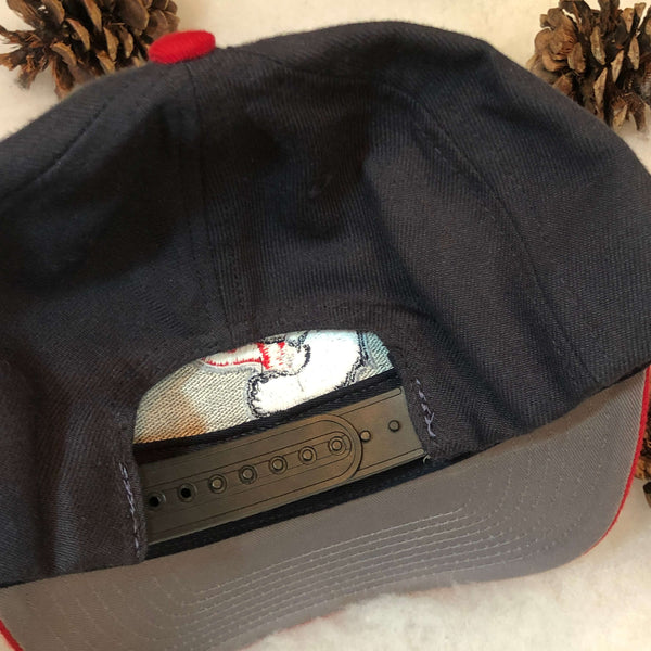 Vintage MiLB Pawtucket Red Sox Twins Enterprise Wool Snapback Hat