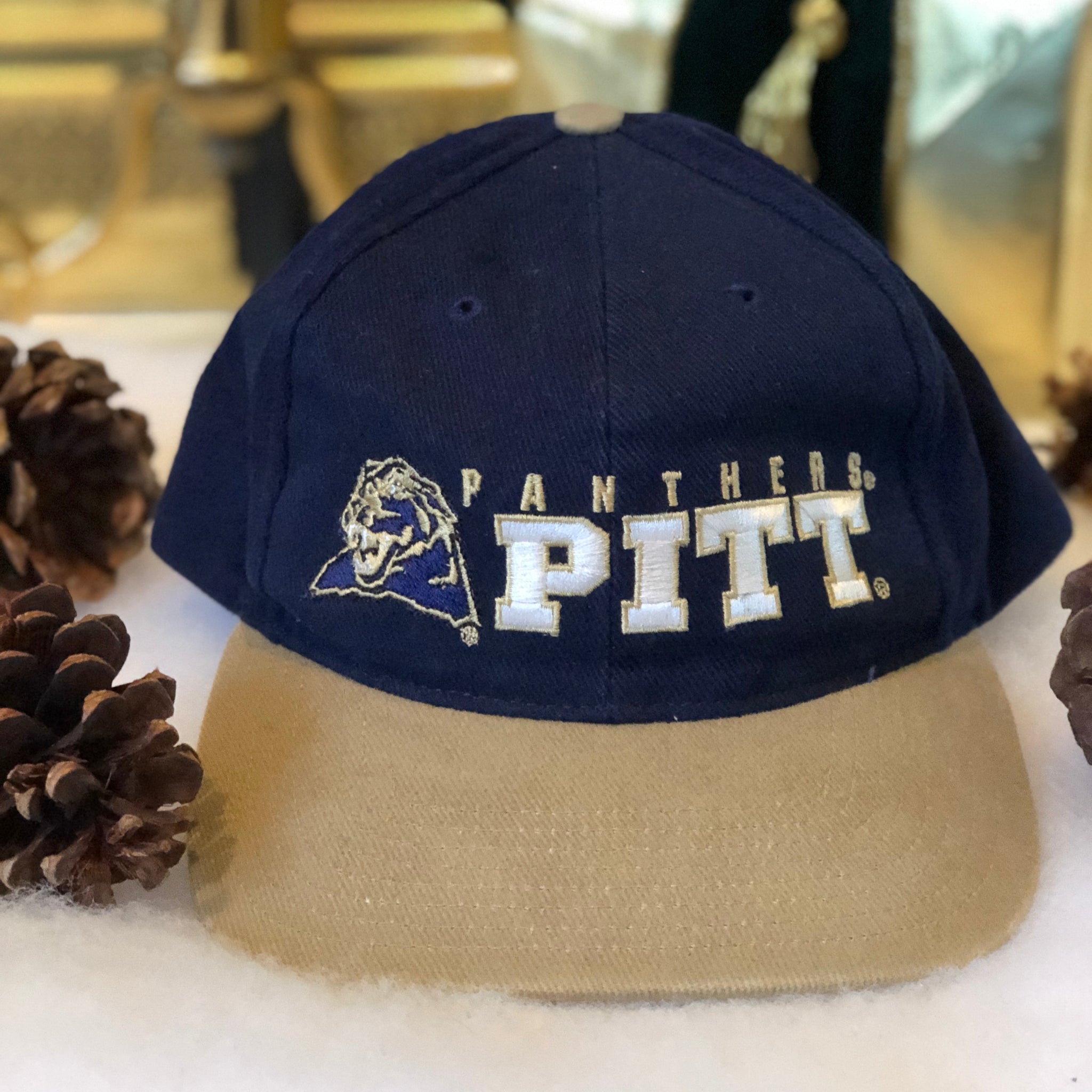 Vintage Twins Enterprise NCAA Pittsburgh Panthers Strapback Hat