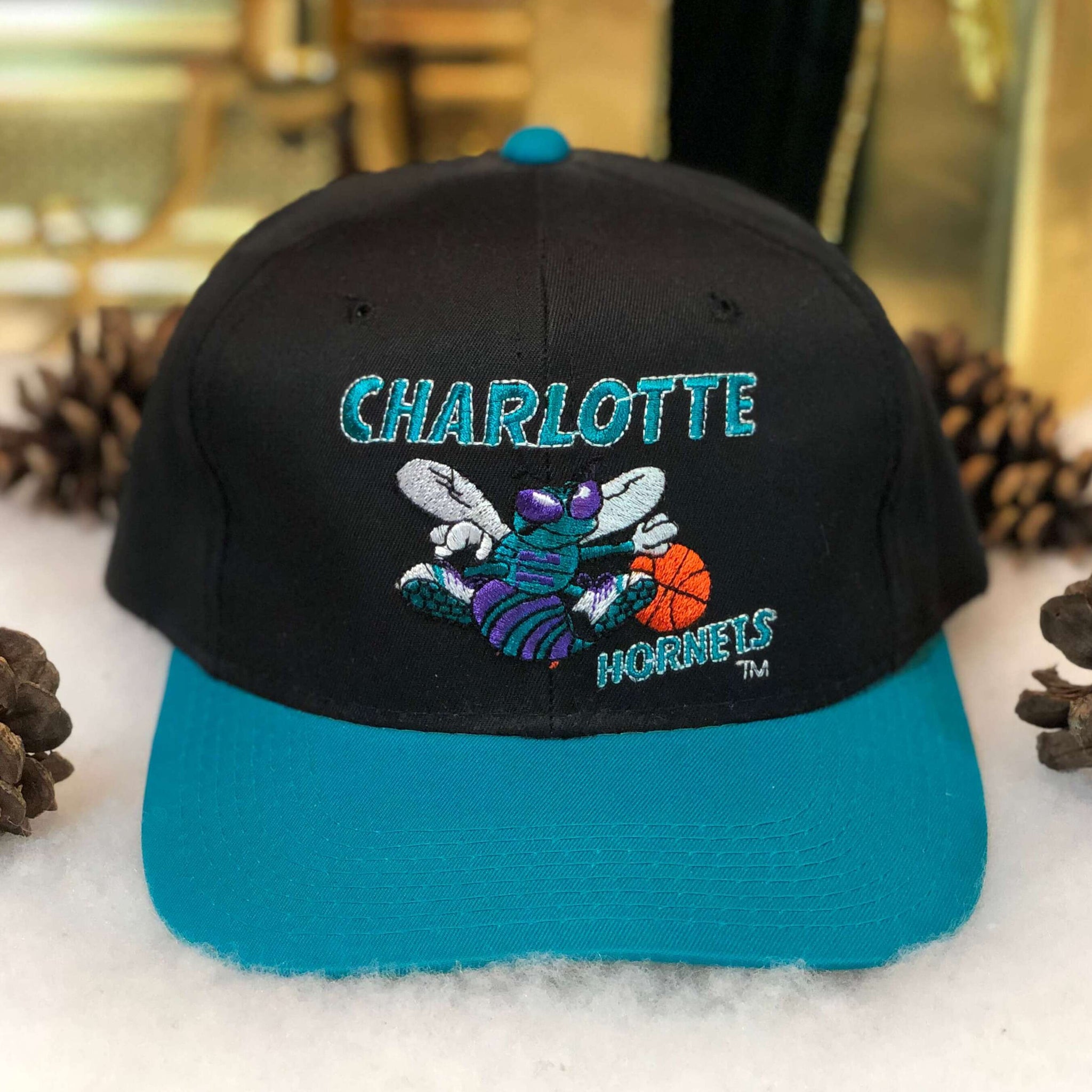 Vintage Deadstock NWOT NBA Charlotte Hornets The G Cap Twill Snapback Hat