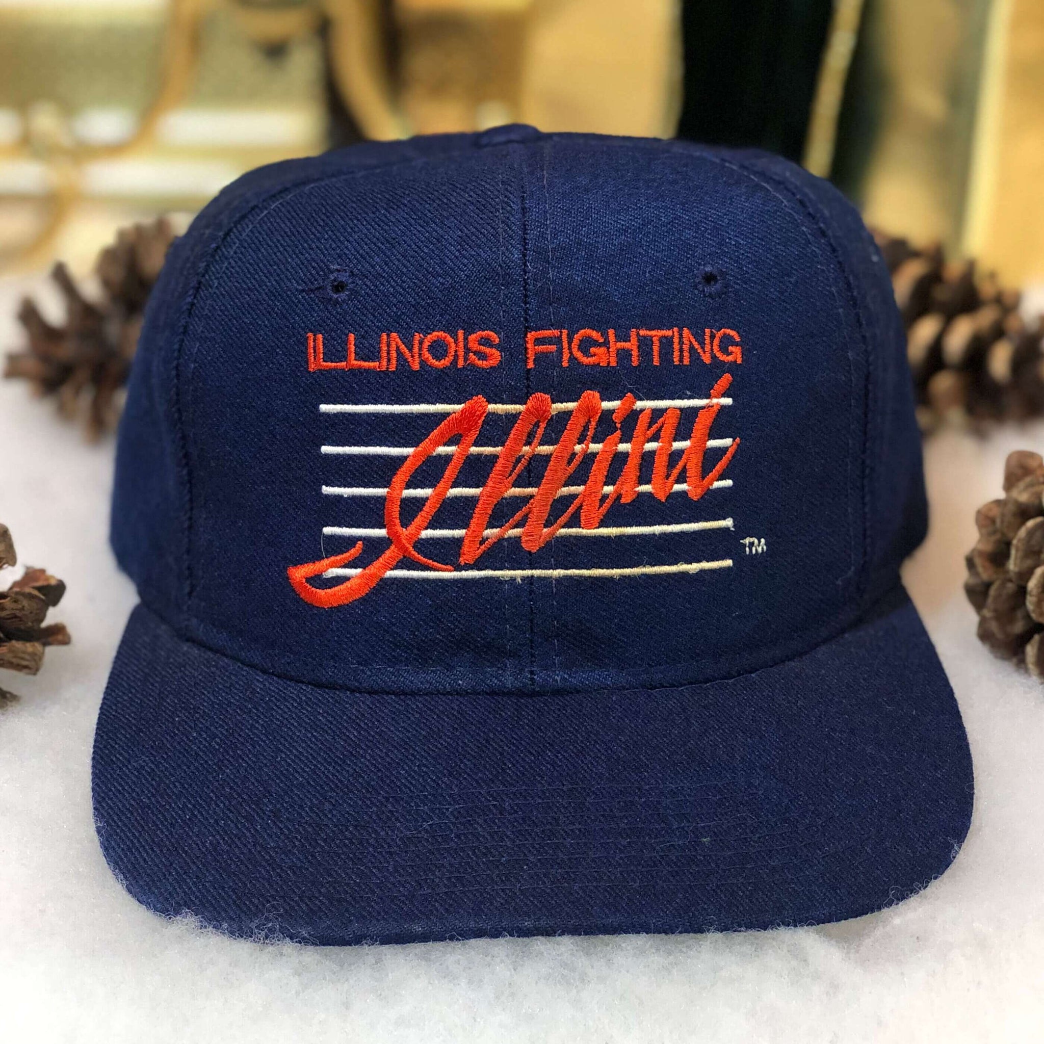 Vintage NCAA Illinois Fighting Illin YoungAn Wool Snapback Hat