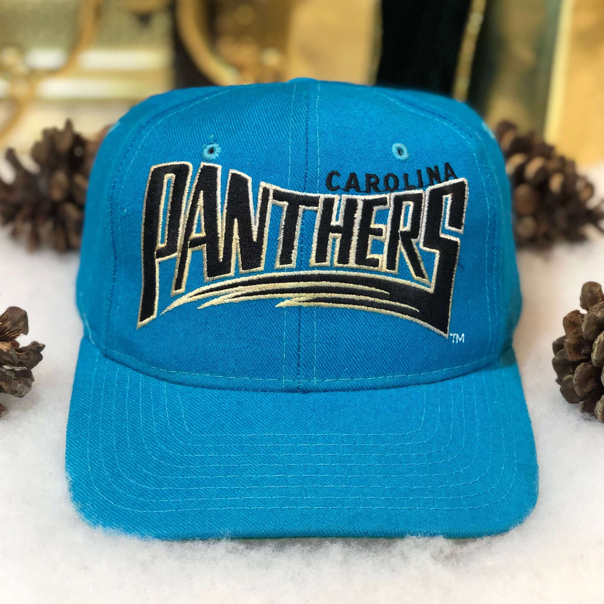 Vintage NFL Carolina Panthers Starter Wool Snapback Hat